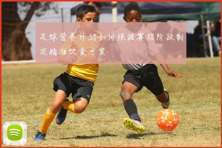 足球营养计划如何根据赛程阶段制定精准饮食方案