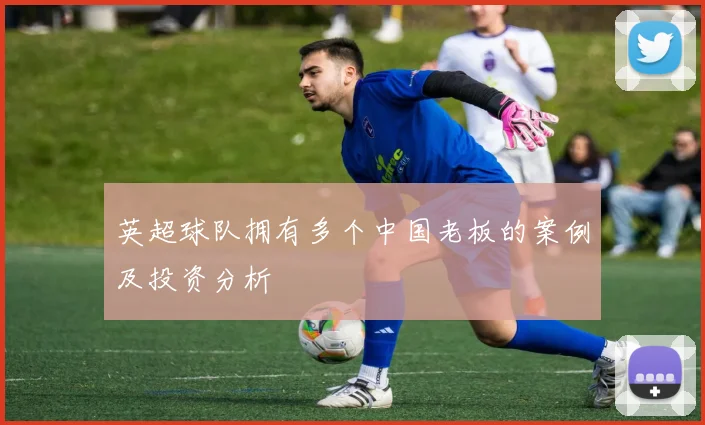 英超球队拥有多个中国老板的案例及投资分析