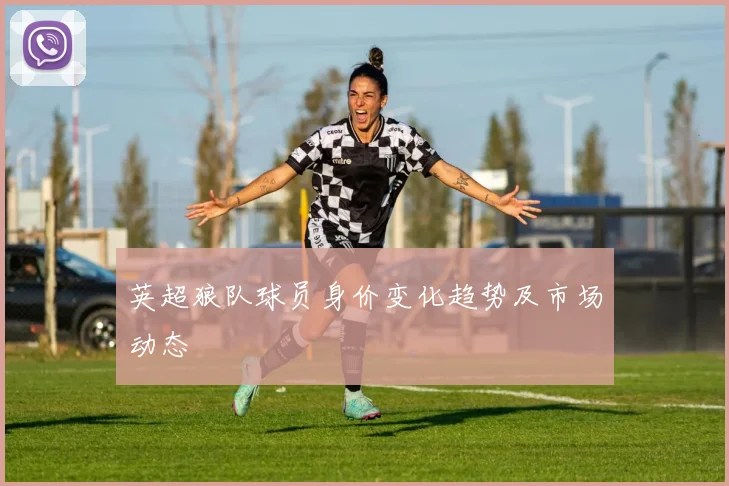 英超狼队球员身价变化趋势及市场动态