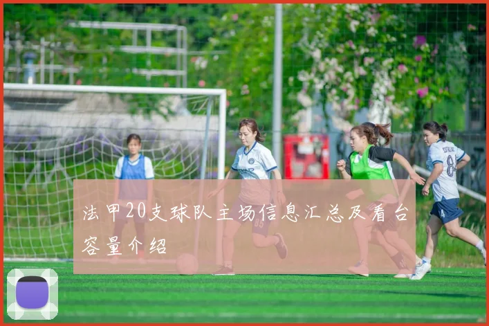 法甲20支球队主场信息汇总及看台容量介绍