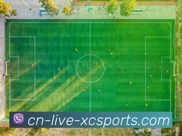 杏彩体育平台生态图